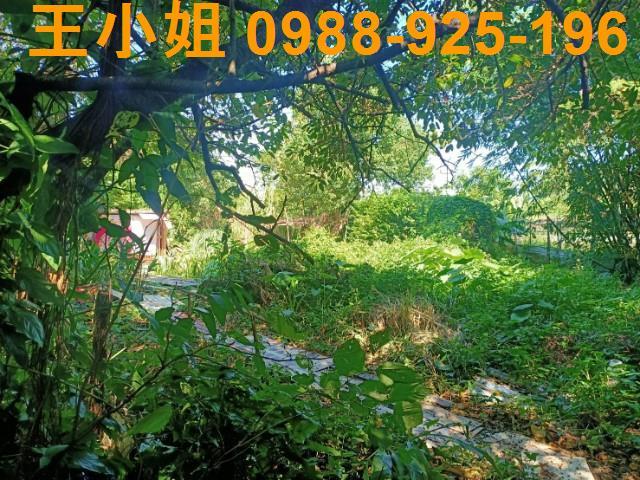桃園區農地-9