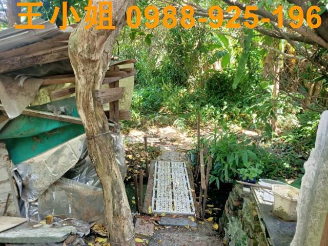 桃園區農地-14