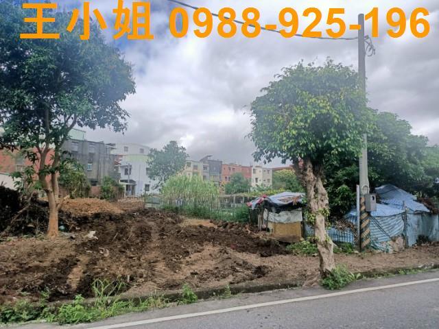 桃園區農地-4