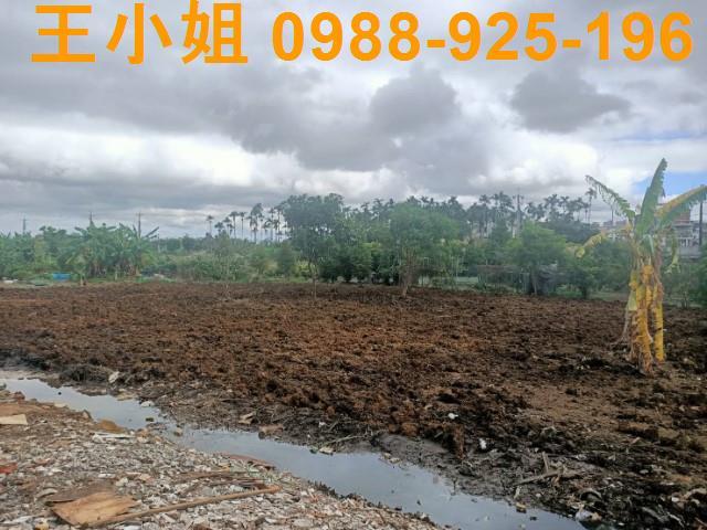 桃園區農地-6