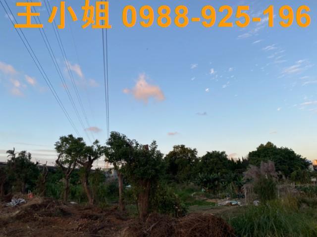 桃園區農地-0