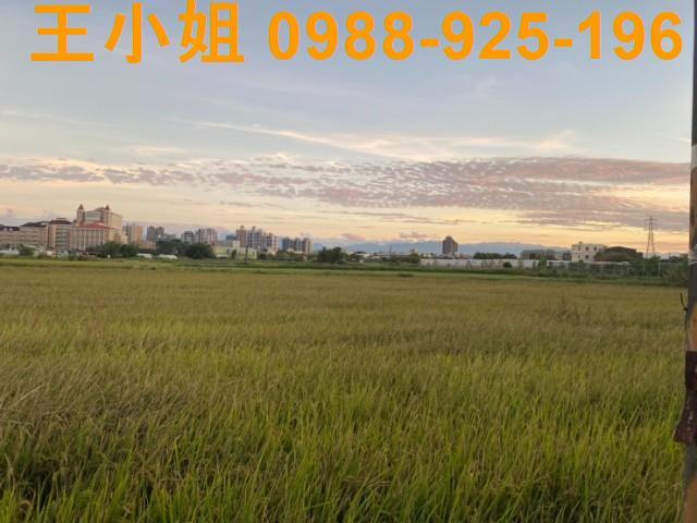 桃園區農地-1