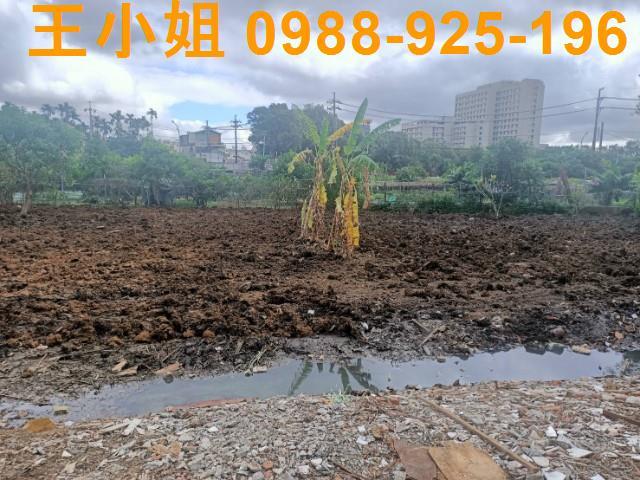 桃園區農地-7