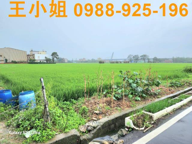 桃園農地-3