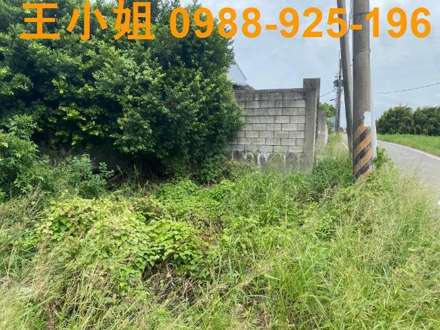 新屋農地-4