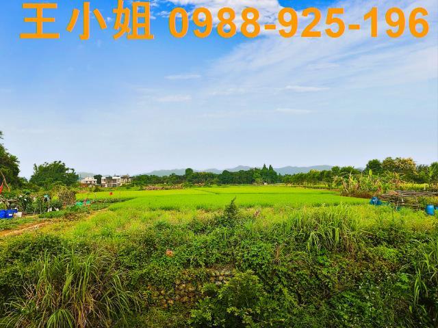 八德建地-11