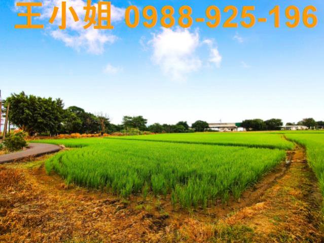 八德建地-12