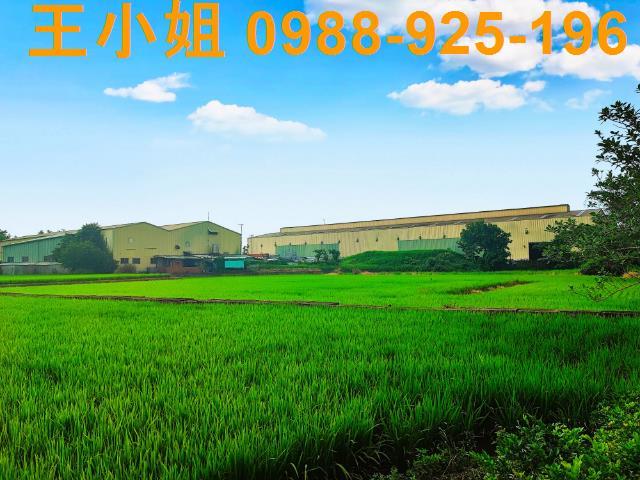 八德建地-13