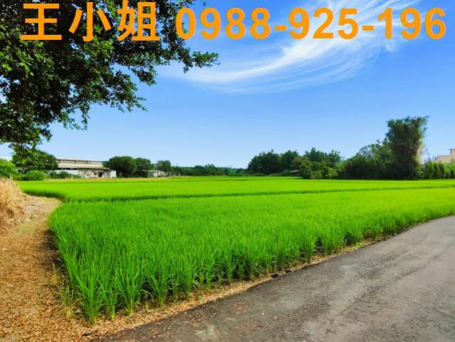 八德建地-6