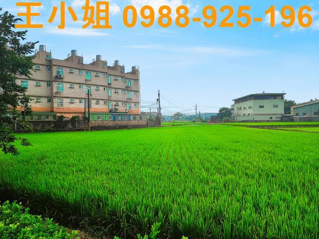 八德建地-8