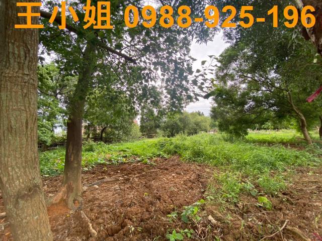 桃園蘆竹農地-9