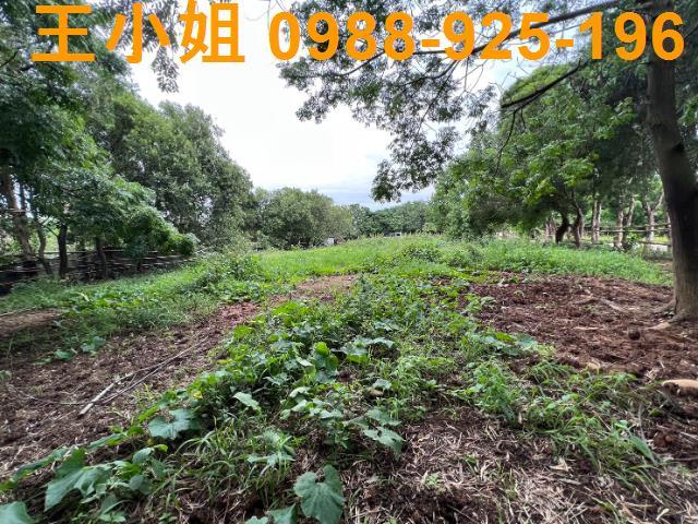桃園蘆竹農地-11