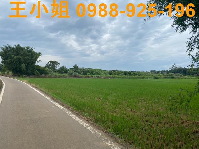 桃園蘆竹農地-2