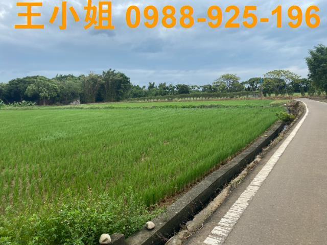 桃園蘆竹農地-3