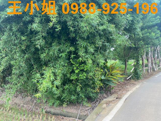 桃園蘆竹農地-6