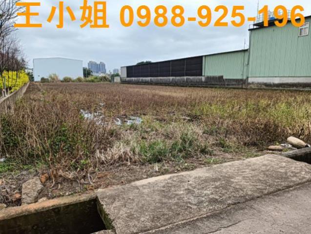 桃園農地-1