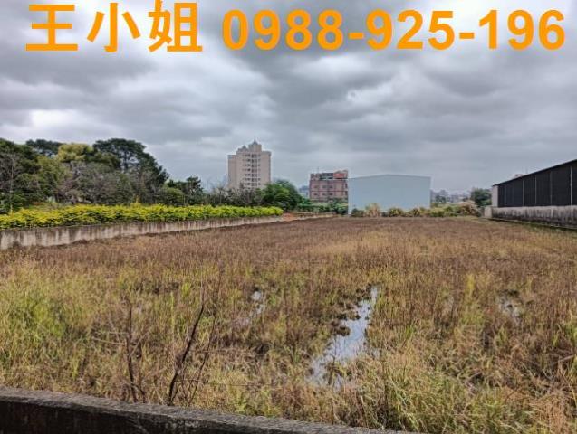 桃園農地-2