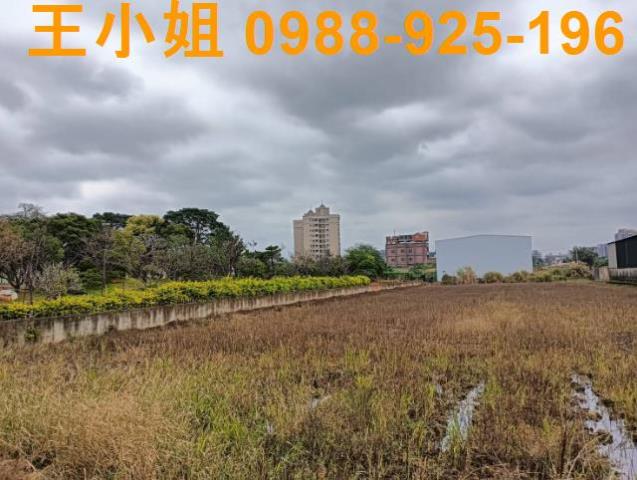 桃園農地-3