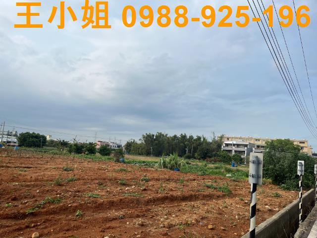 桃園區農地-4