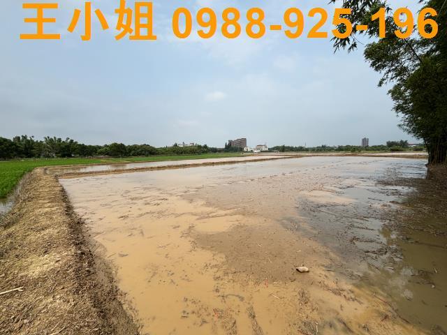 平鎮農地-4