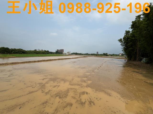 平鎮農地-5