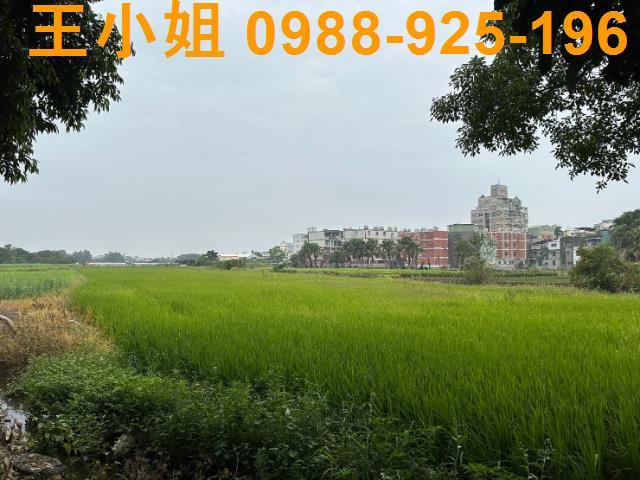 八德農地-1