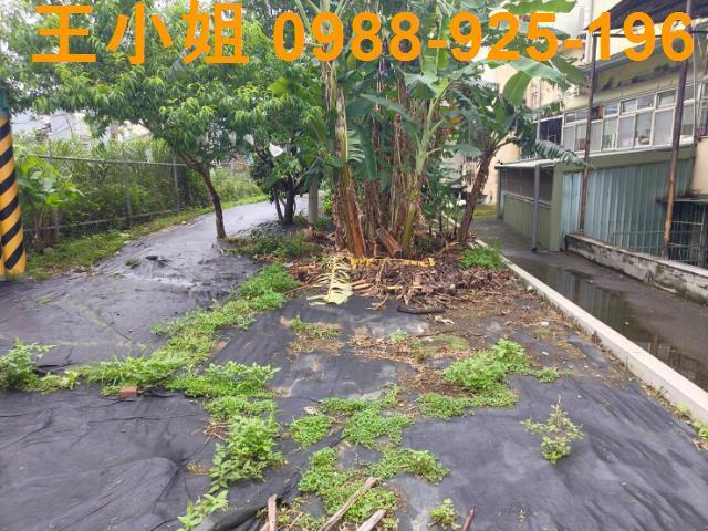 桃園桃園區農地-0