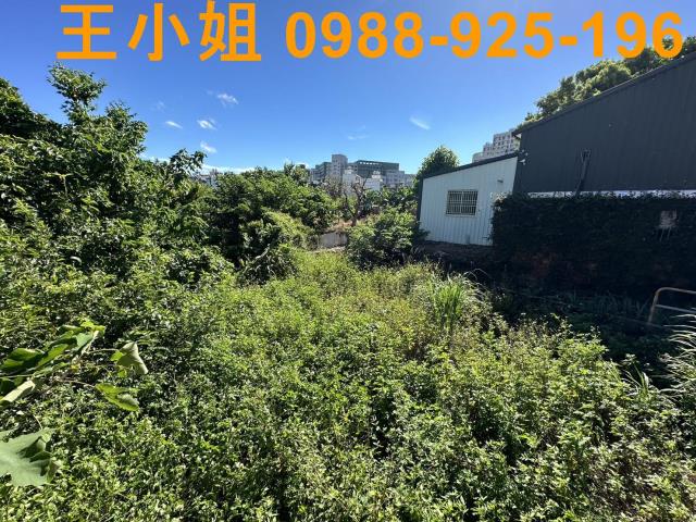桃園桃園區農地-0