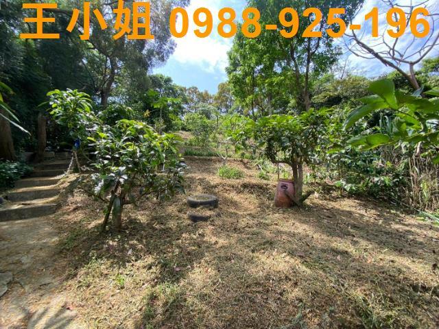龜山農地-3