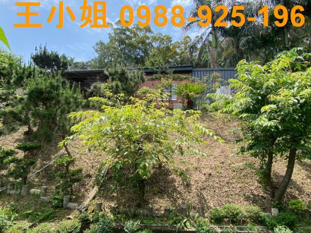 龜山農地-4