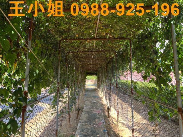 桃園農地-0
