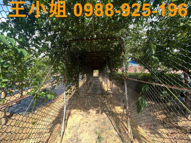 桃園農地-1