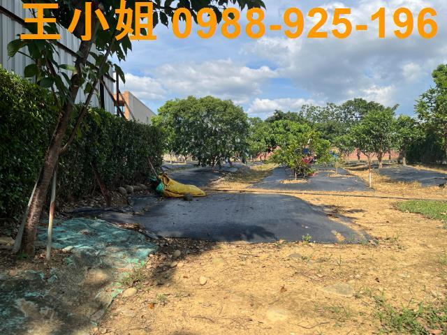 桃園農地-3