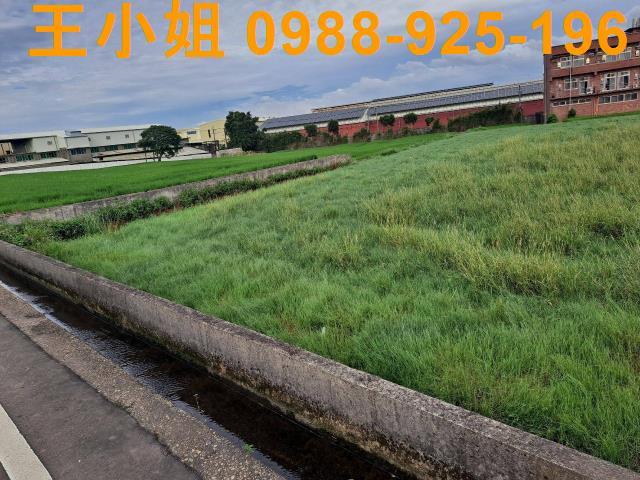 中壢農地-1