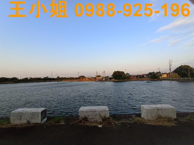 中壢農地-0