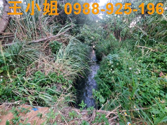 中壢農地-3