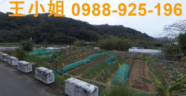 桃園蘆竹農地-0