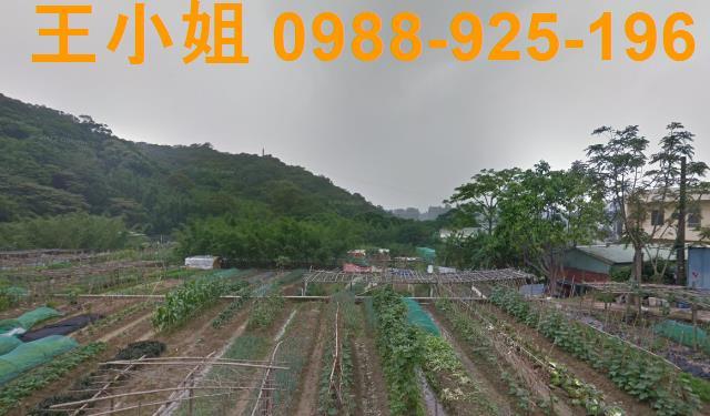 桃園蘆竹農地-1