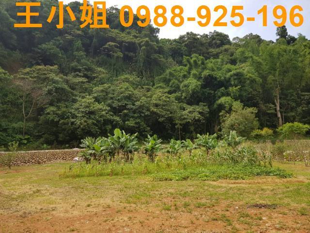 龍潭農地-9