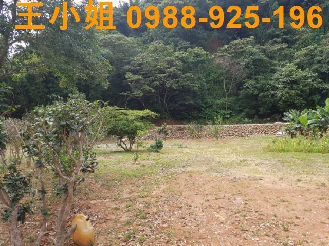 龍潭農地-11