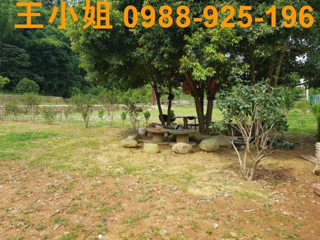龍潭農地-12