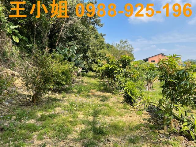 龍潭農地-3
