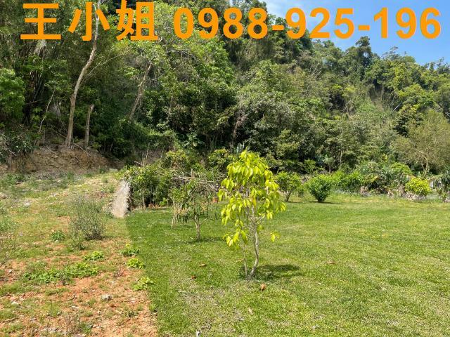 龍潭農地-4