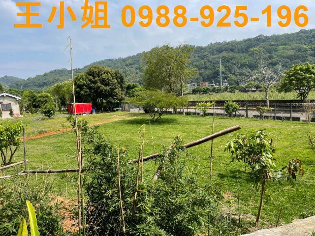 龍潭農地-5