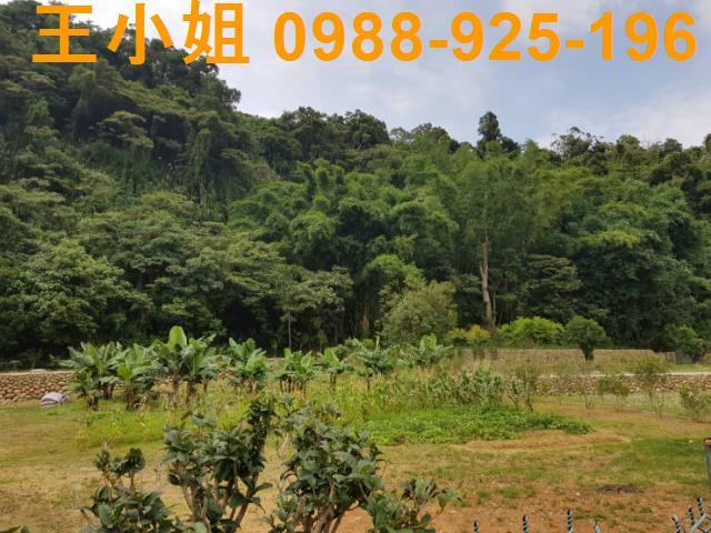龍潭農地-8