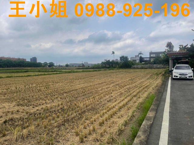 桃園農地-2