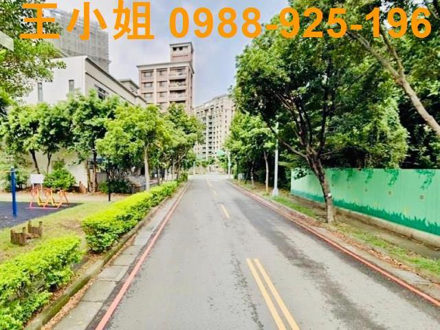 桃園建地-2