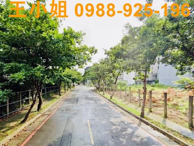 桃園建地-3