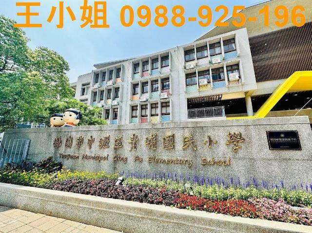 桃園建地-4