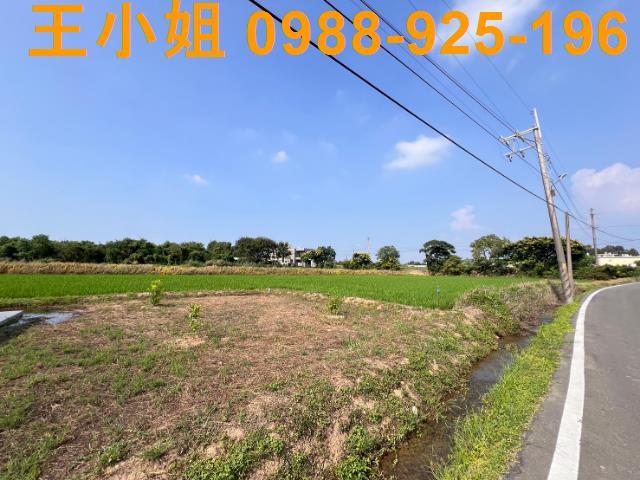 桃園農地-1